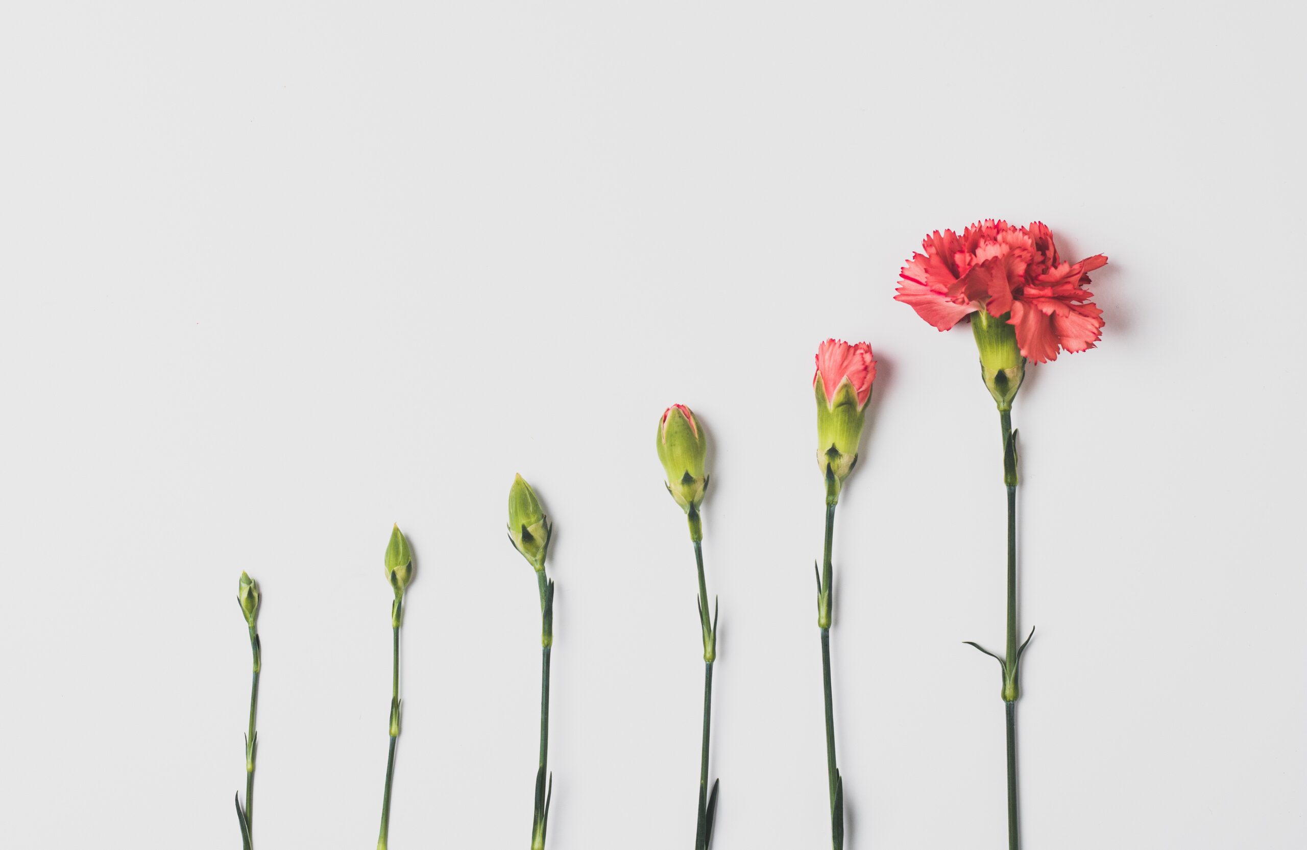 Nurturing Growth Mindsets in Students: A Professor’s Guide