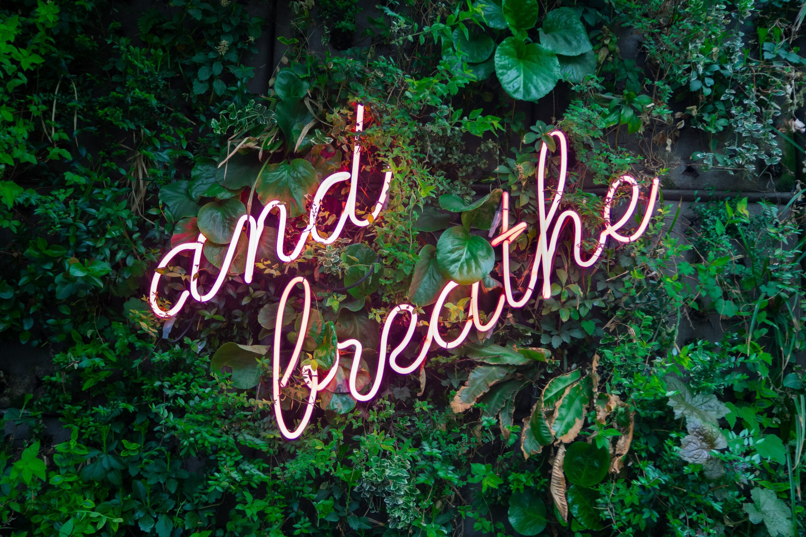 Wellness in the University Classroom: Why It Matters and How to Incorporate It
