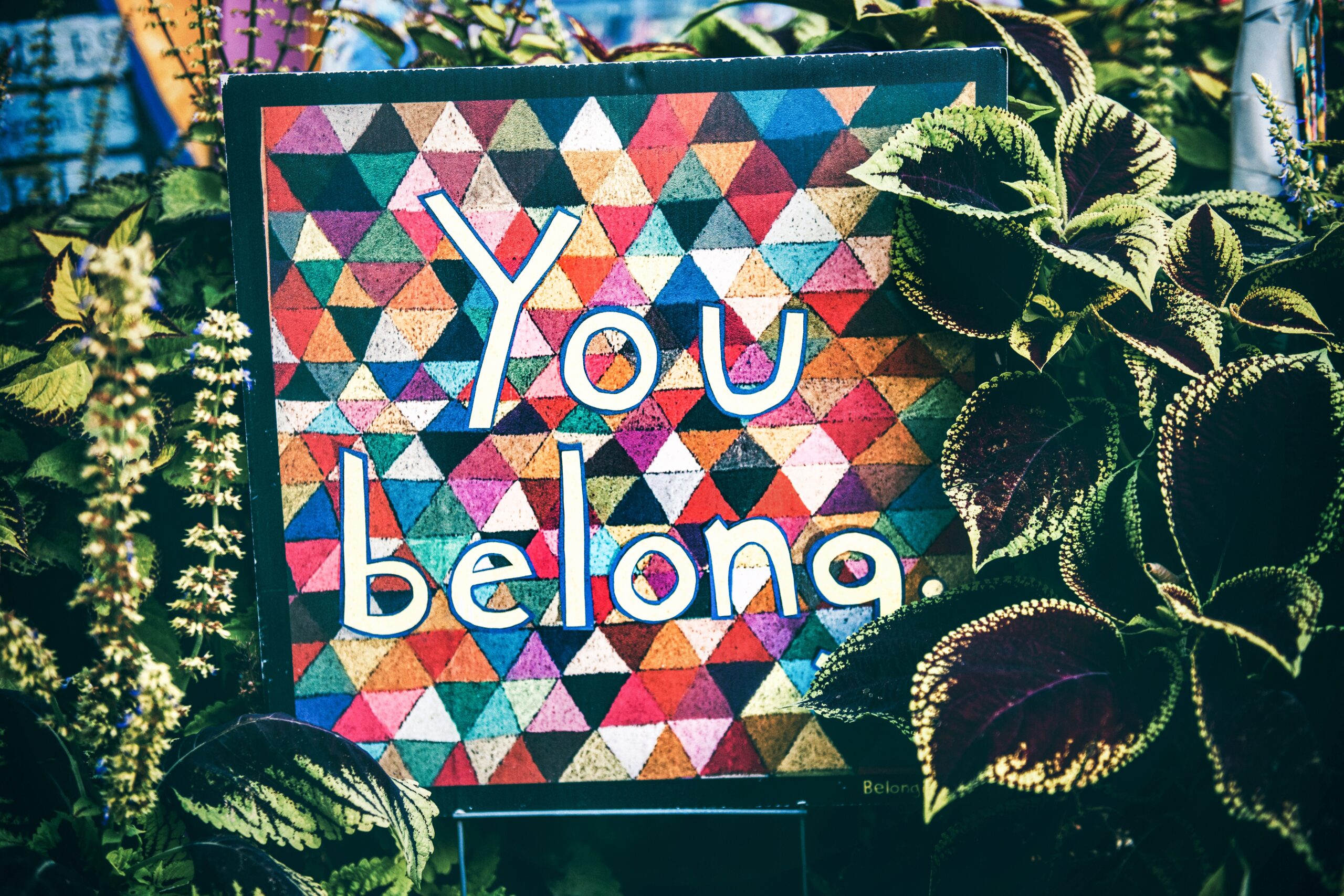 Strategies for Professors to Cultivate a Strong Sense of Belonging